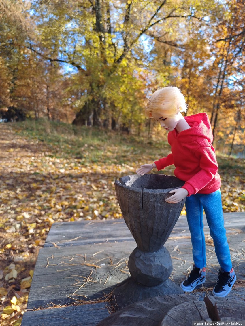 Дим Димыч, осенний променад