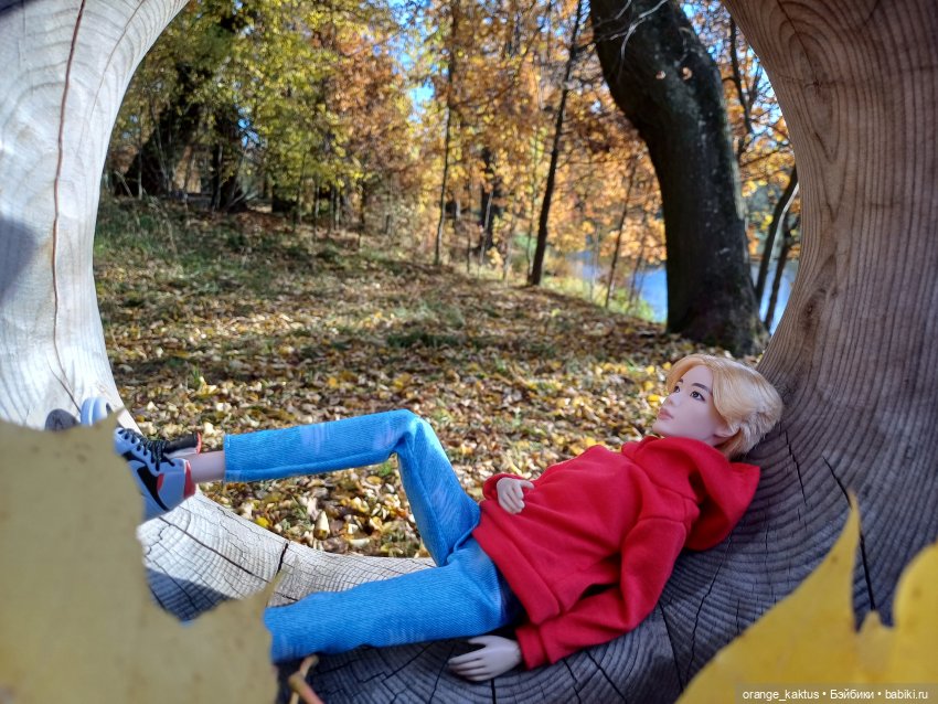 Дим Димыч, осенний променад