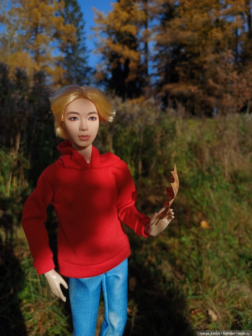 Дим Димыч, осенний променад