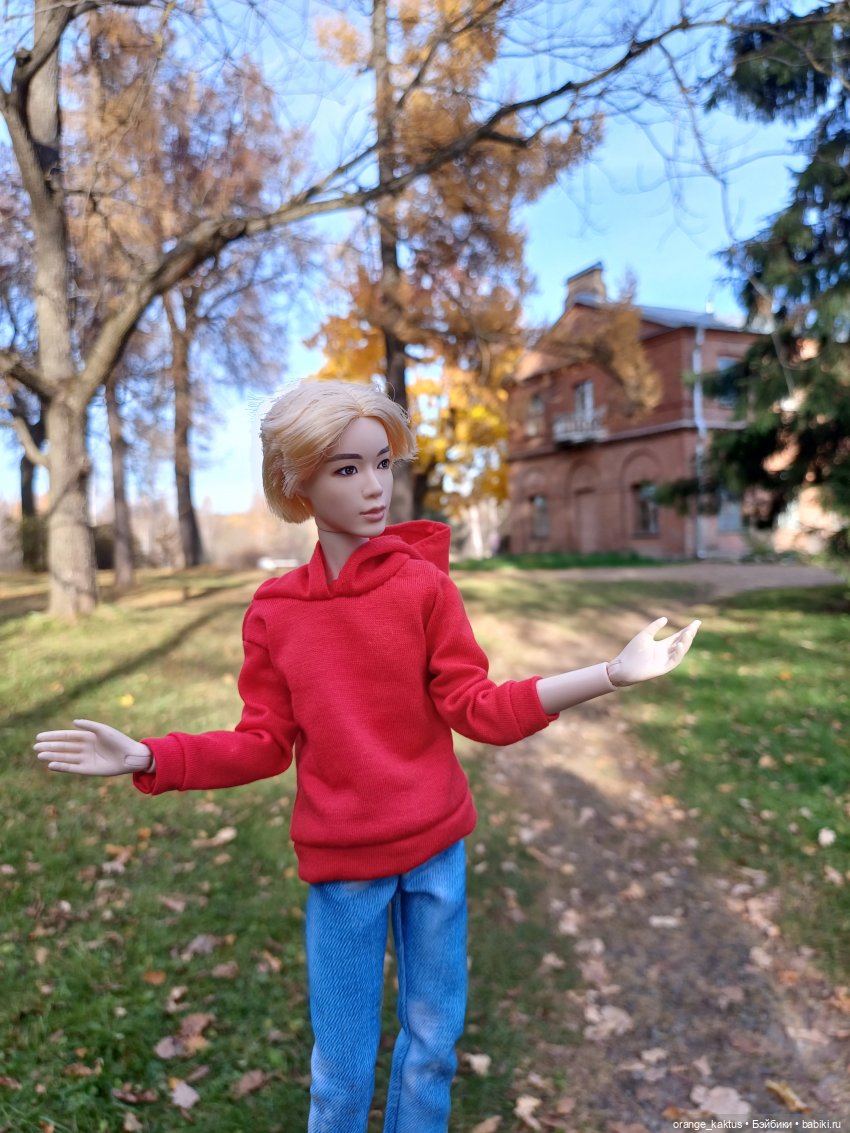 Дим Димыч, осенний променад