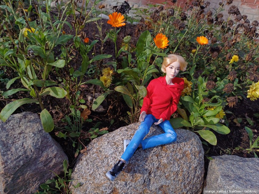 Дим Димыч, осенний променад