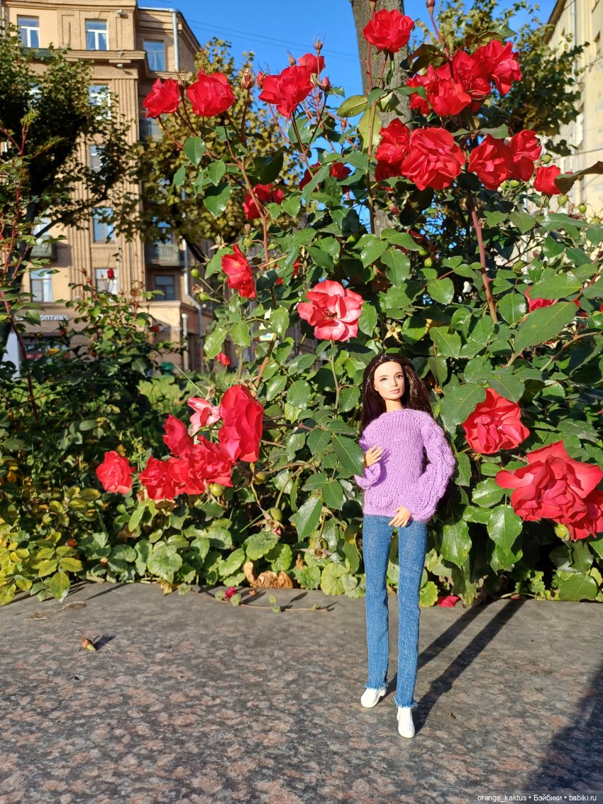 Осенняя прогулка Ксении — Аналоги Барби и куклы 1/6: клоны 90 (фото 6)