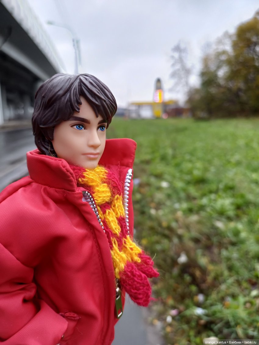 Гоша и поздняя осень — Куклы Harry Potter (Гарри Поттер) Mattel: Wizarding World (фото 6)