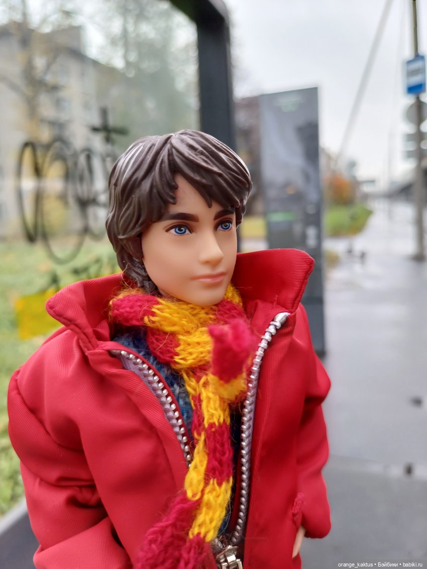 Гоша и поздняя осень — Куклы Harry Potter (Гарри Поттер) Mattel: Wizarding World (фото 3)