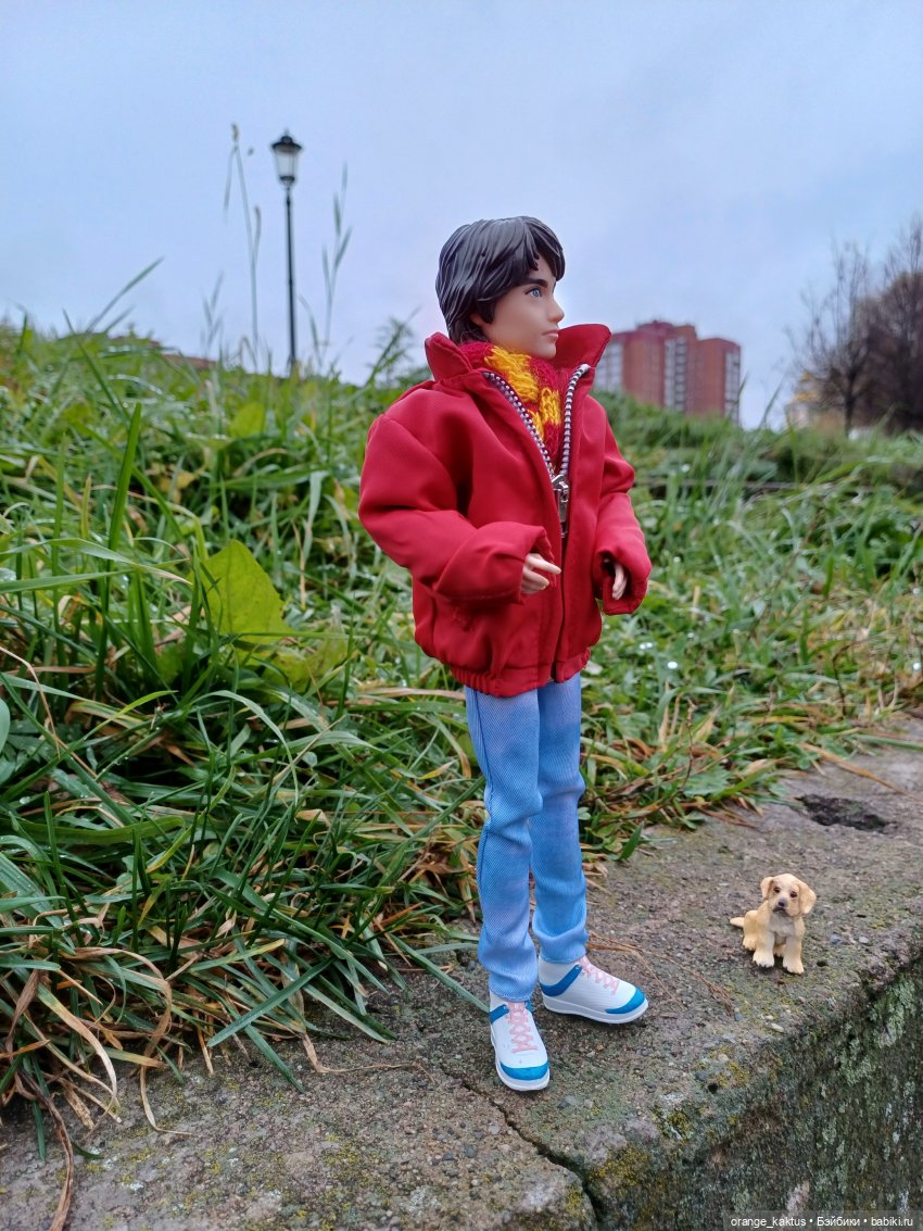 Гоша и поздняя осень — Куклы Harry Potter (Гарри Поттер) Mattel: Wizarding World