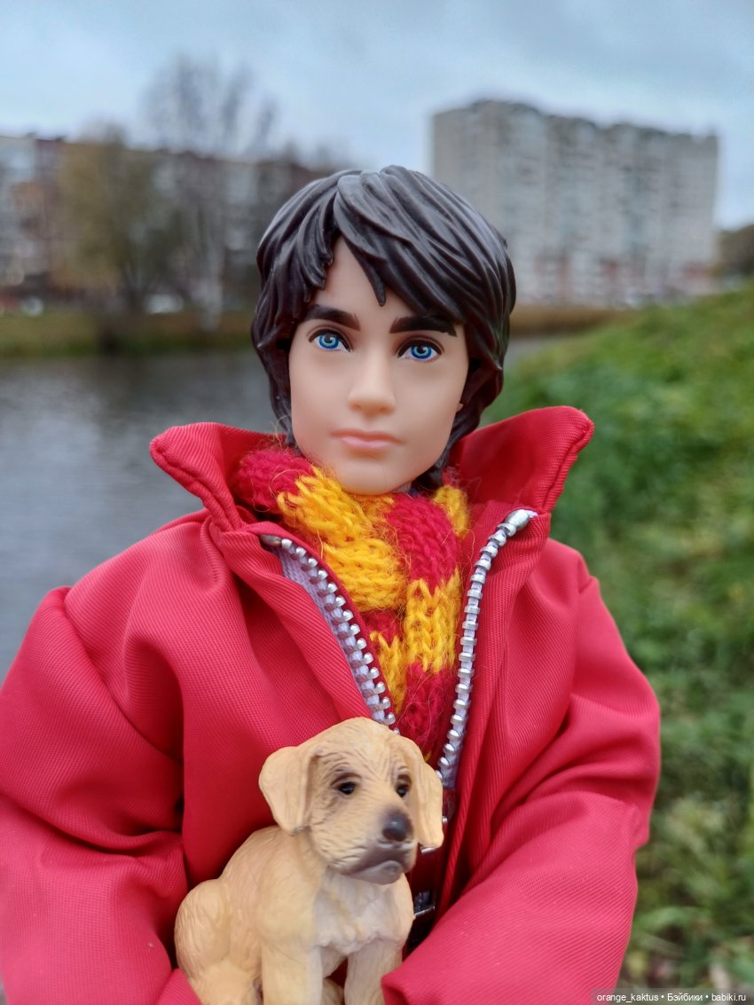 Гоша и поздняя осень — Куклы Harry Potter (Гарри Поттер) Mattel: Wizarding World