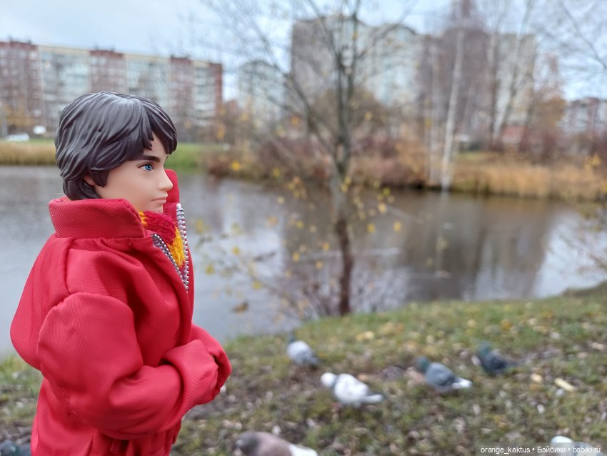 Гоша и поздняя осень — Куклы Harry Potter (Гарри Поттер) Mattel: Wizarding World