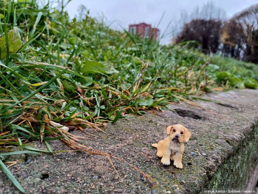 Гоша и поздняя осень — Куклы Harry Potter (Гарри Поттер) Mattel: Wizarding World