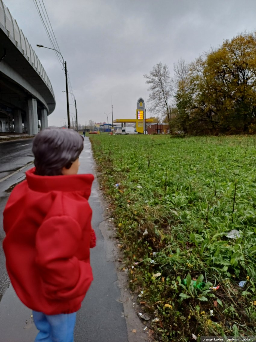 Гоша и поздняя осень — Куклы Harry Potter (Гарри Поттер) Mattel: Wizarding World (фото 5)