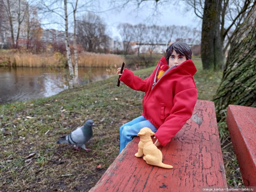 Гоша и поздняя осень — Куклы Harry Potter (Гарри Поттер) Mattel: Wizarding World