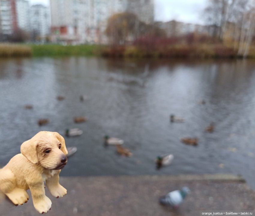 Гоша и поздняя осень — Куклы Harry Potter (Гарри Поттер) Mattel: Wizarding World