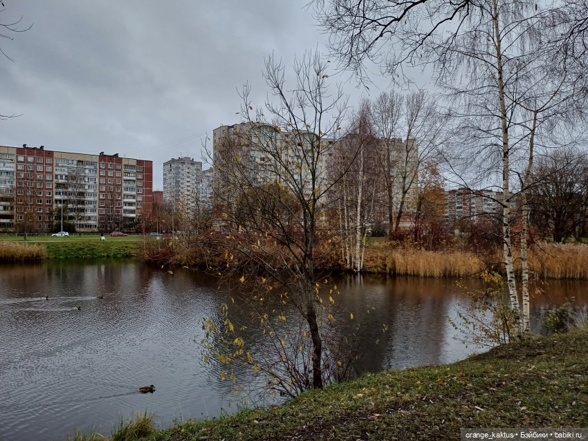 Гоша и поздняя осень — Куклы Harry Potter (Гарри Поттер) Mattel: Wizarding World