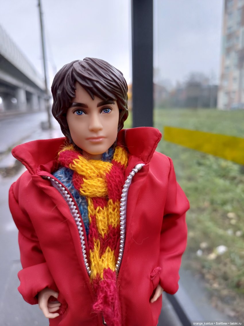 Гоша и поздняя осень — Куклы Harry Potter (Гарри Поттер) Mattel: Wizarding World (фото 4)