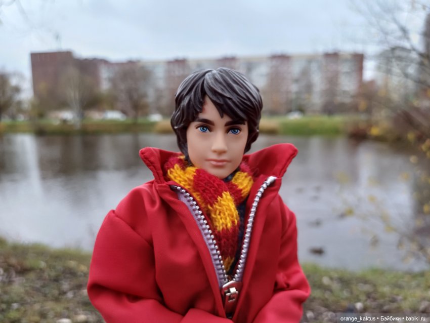 Гоша и поздняя осень — Куклы Harry Potter (Гарри Поттер) Mattel: Wizarding World