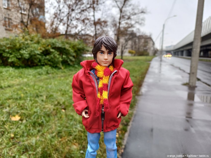 Гоша и поздняя осень — Куклы Harry Potter (Гарри Поттер) Mattel: Wizarding World (фото 2)