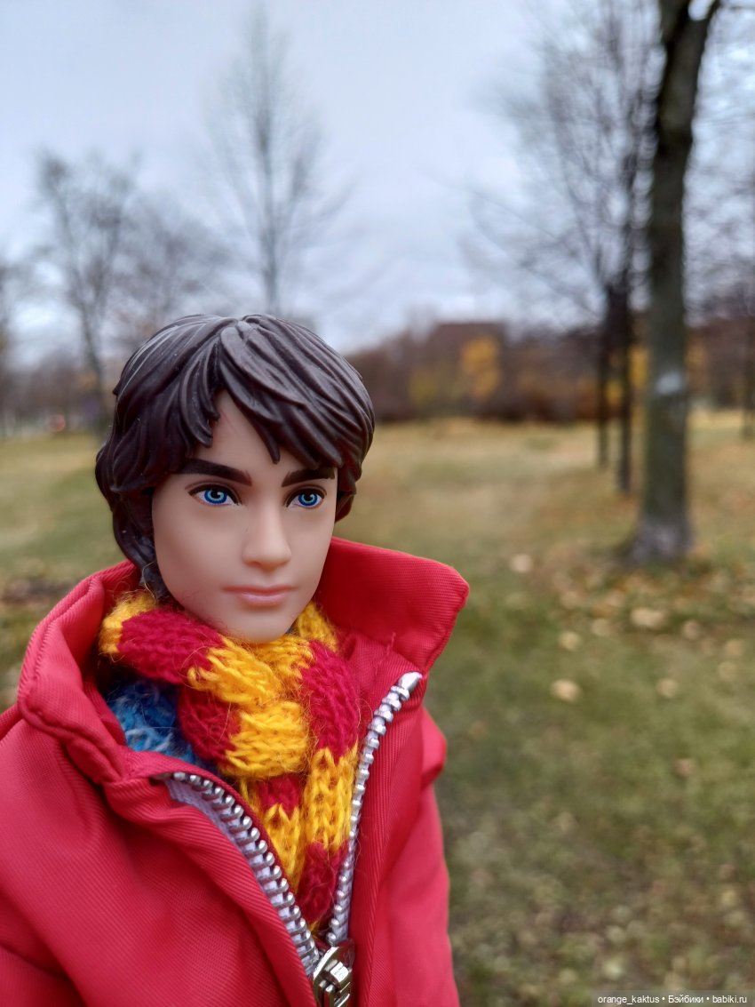 Гоша и поздняя осень — Куклы Harry Potter (Гарри Поттер) Mattel: Wizarding World (фото 10)