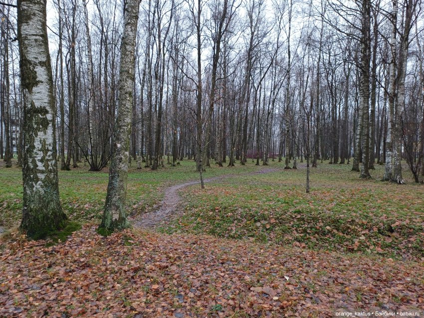 Мия Бойка, первое знакомство | Бэйбики Мия Бойка, первое знакомство