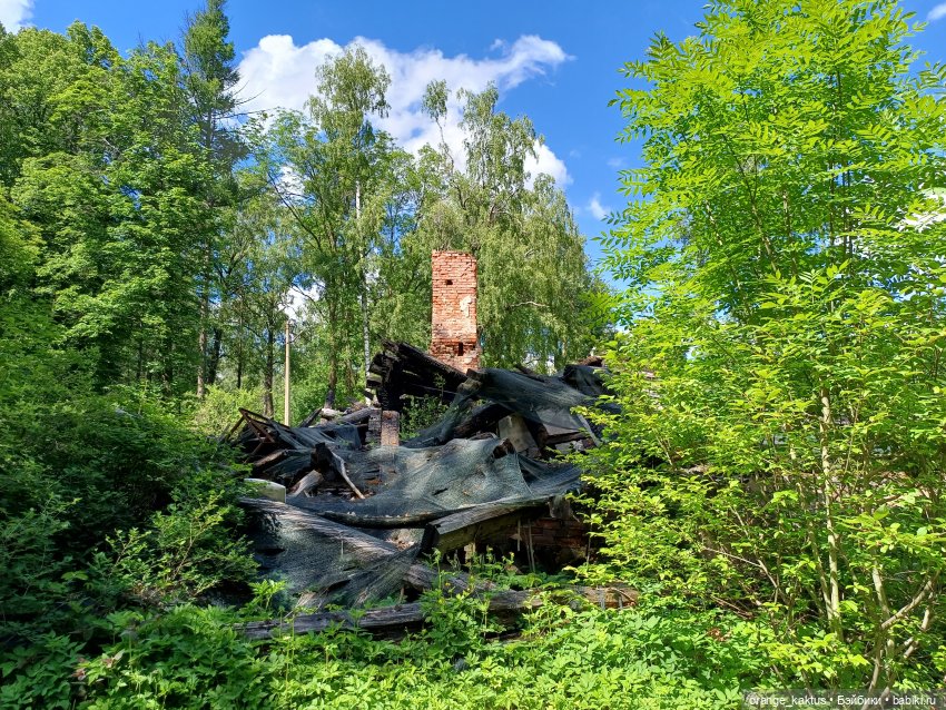Последняя любовь Самурая. Ч 44 В заброшенном доме (продолжение)
