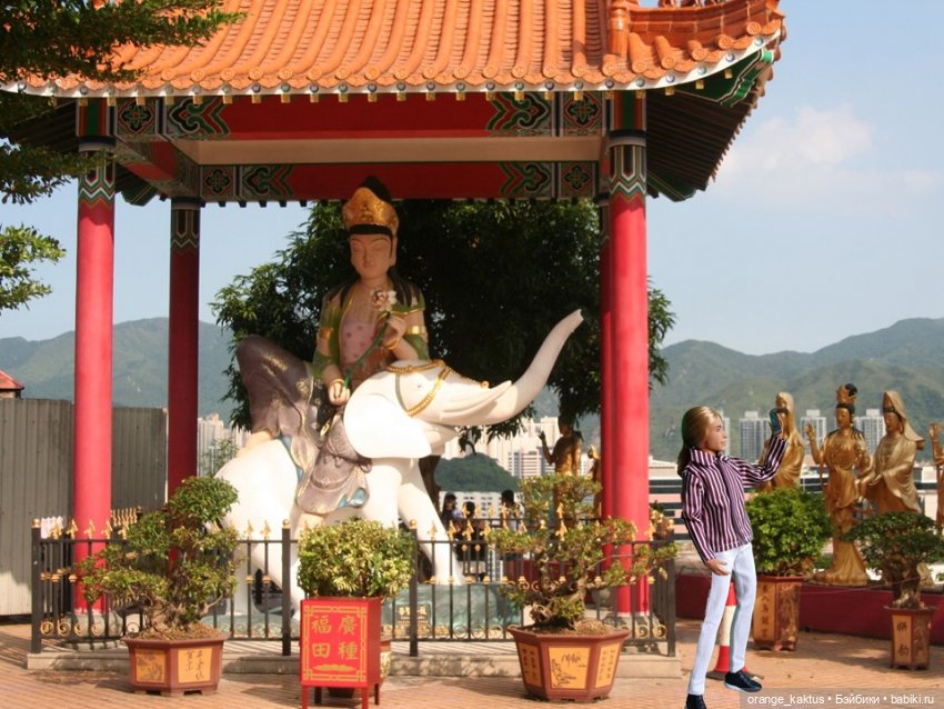 Самурай и ко пытаются разгадать тайны Гонконга (фото 8)