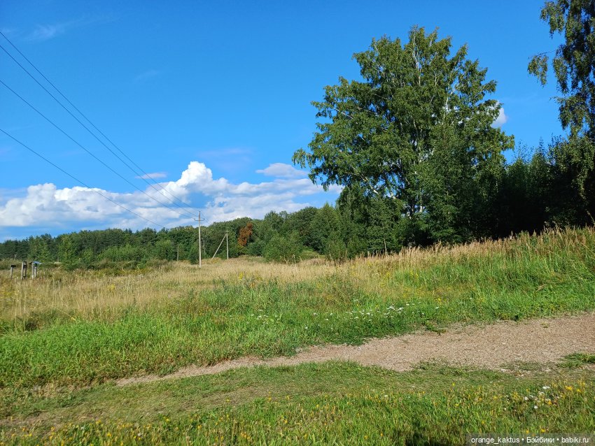 Последняя любовь Самурая. Ч 52 Вадим (фото 4)