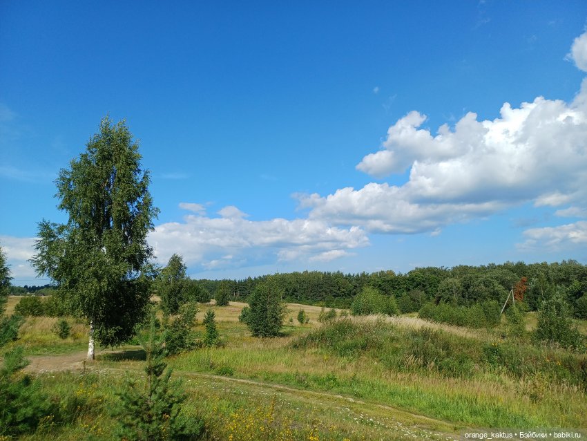 Последняя любовь Самурая. Ч 51 Разговор с Сергеем (фото 7)