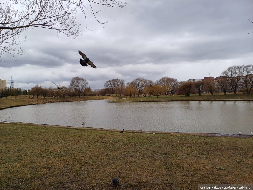 Прогулка, которая чуть не сорвалась | Бэйбики Прогулка, которая чуть не сорвалась