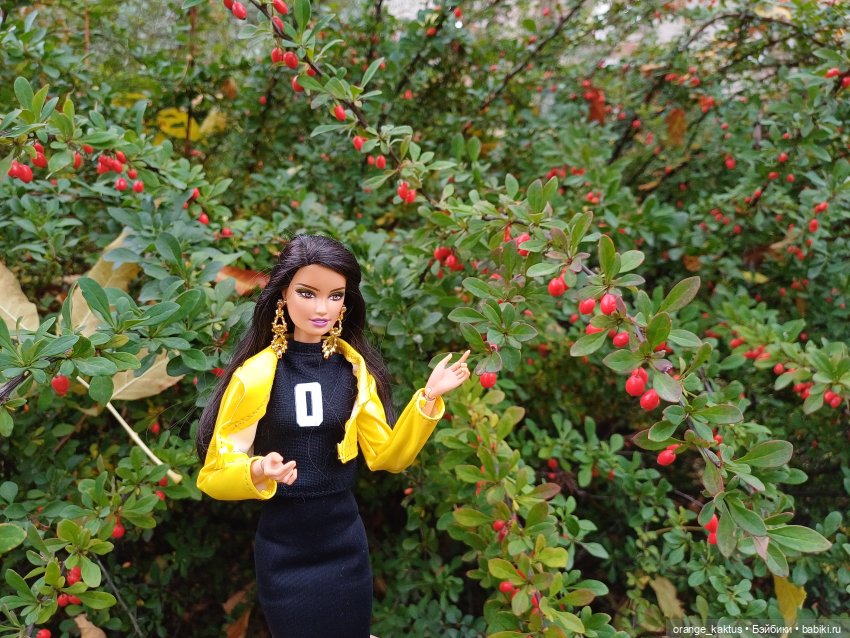 Мои Анны Лары — Куклы Barbie (Барби): Looks