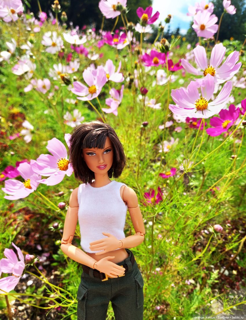 Мои Анны Лары — Куклы Barbie (Барби): Looks