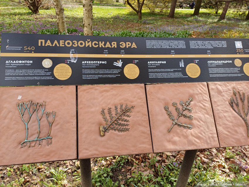 Ира в ботаническом саду — Гибриды шарнирных кукол (не БЖД): подбор тела (фото 5)