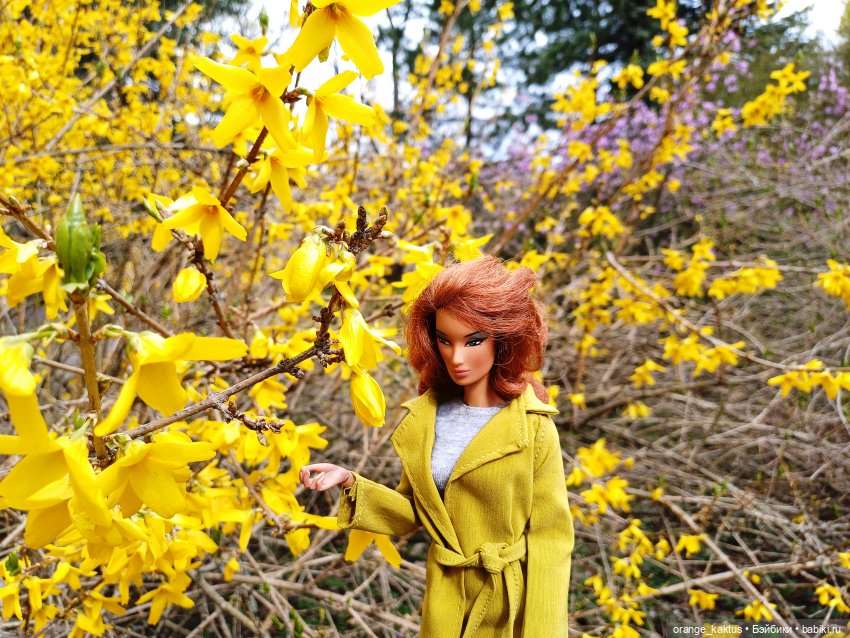 Ира в ботаническом саду — Гибриды шарнирных кукол (не БЖД): подбор тела (фото 6)