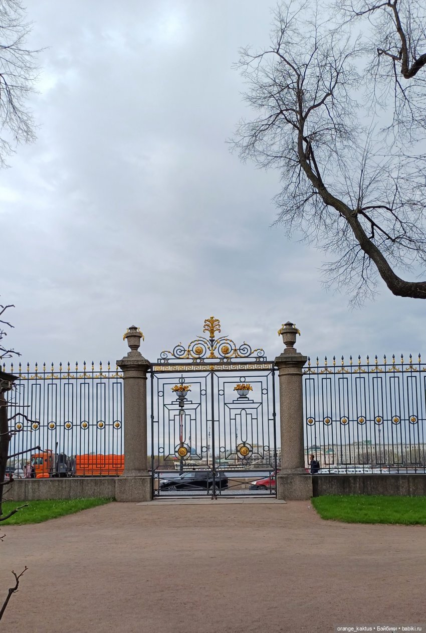 Джинджер и первая прогулка по городу