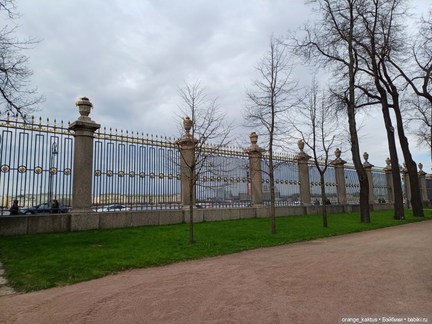 Джинджер и первая прогулка по городу