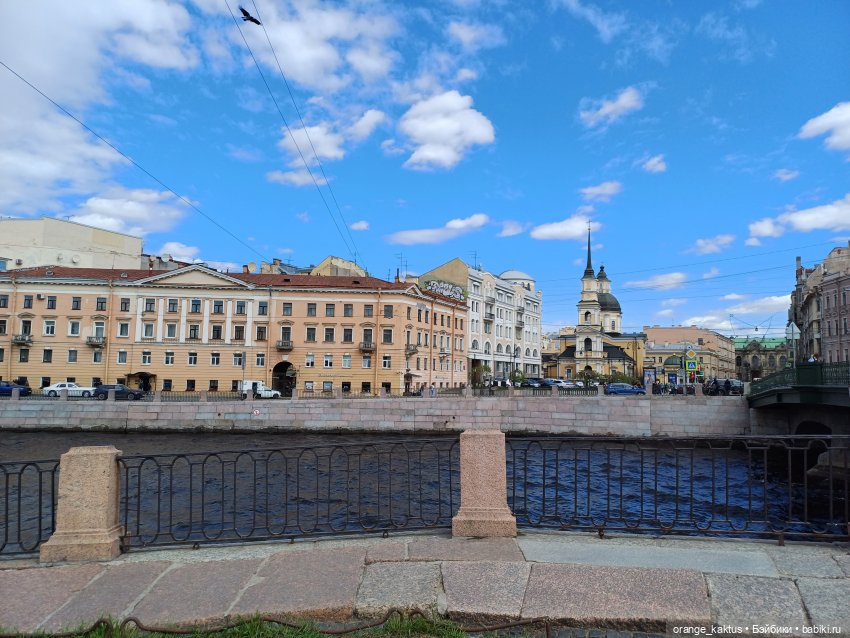 Джинджер и первая прогулка по городу (фото 10)