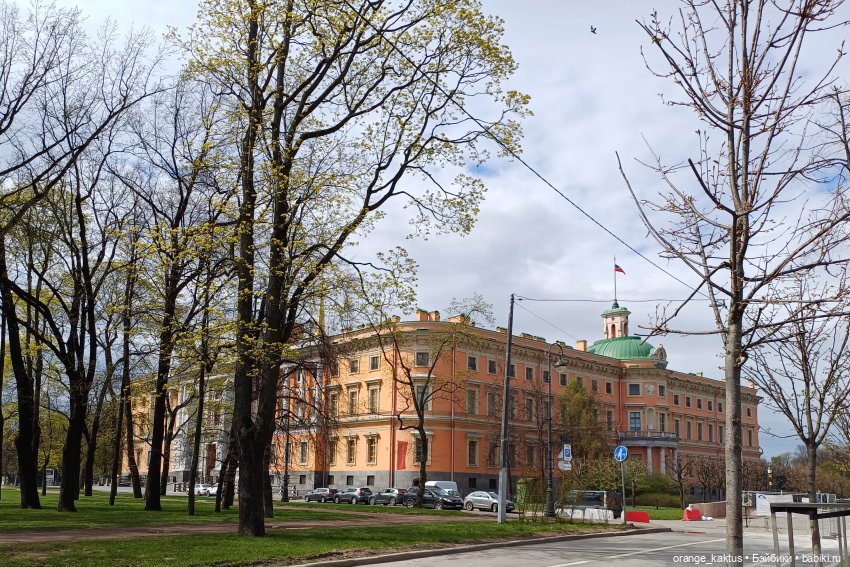 Джинджер и первая прогулка по городу