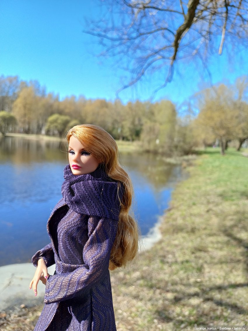 Джинджер и первая прогулка по городу (фото 3)