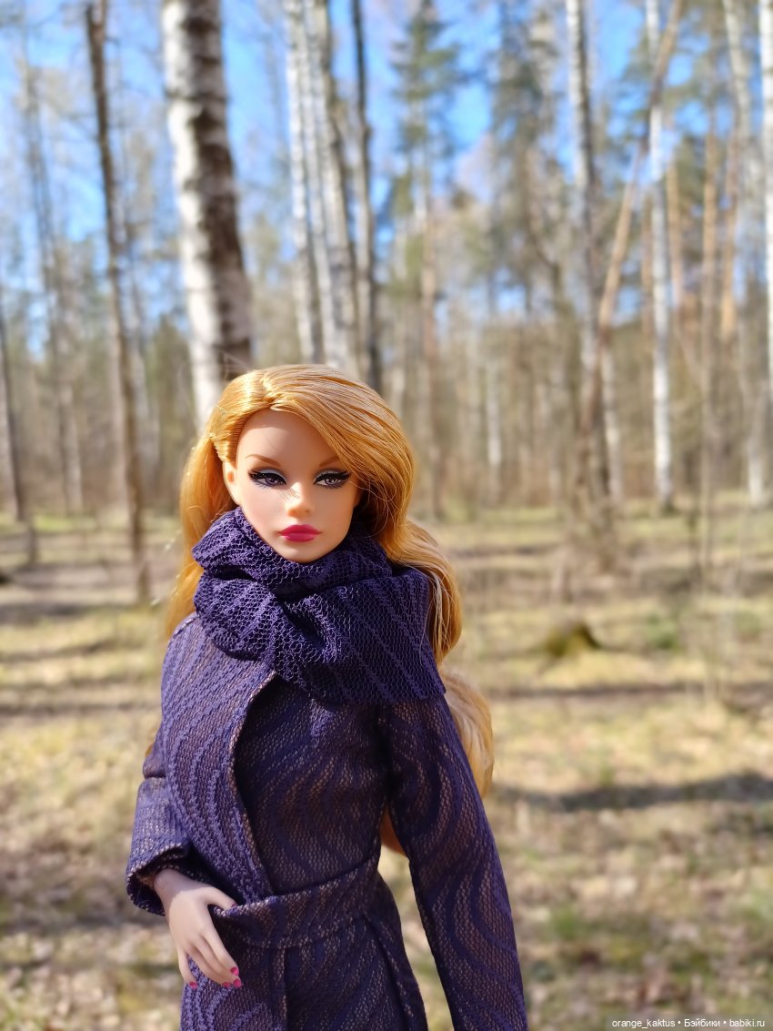 Джинджер и первая прогулка по городу