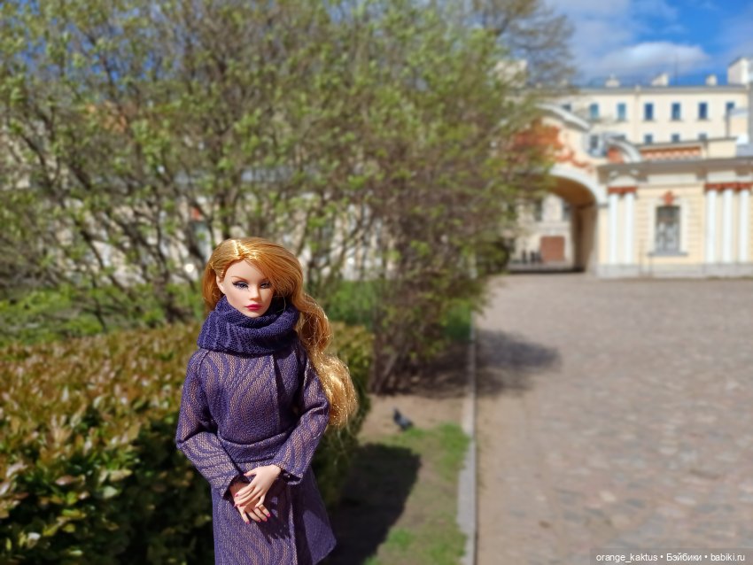 Джинджер и первая прогулка по городу (фото 9)