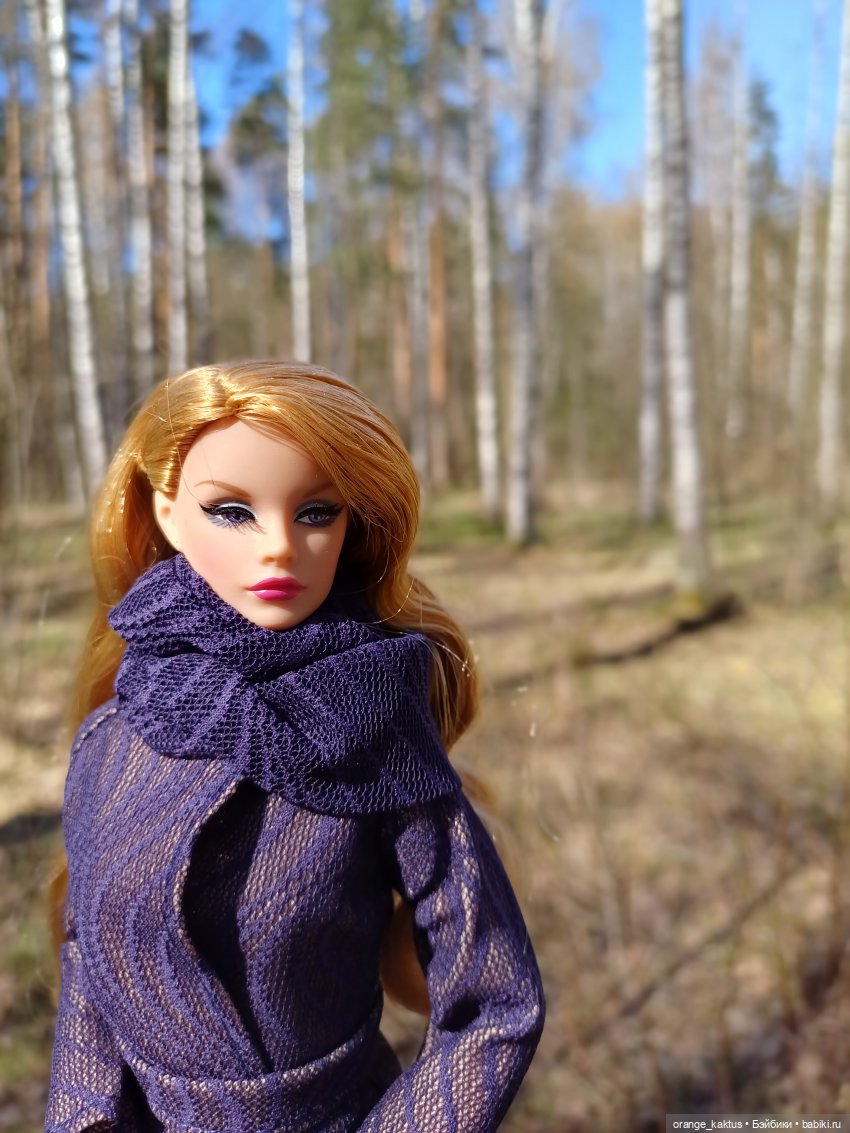 Джинджер и первая прогулка по городу (фото 2)