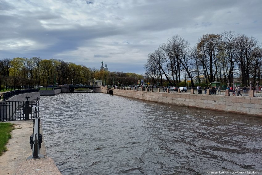 Джинджер и первая прогулка по городу