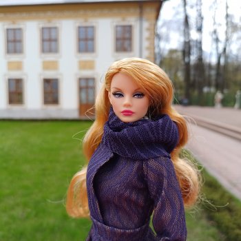 Джинджер и первая прогулка по городу