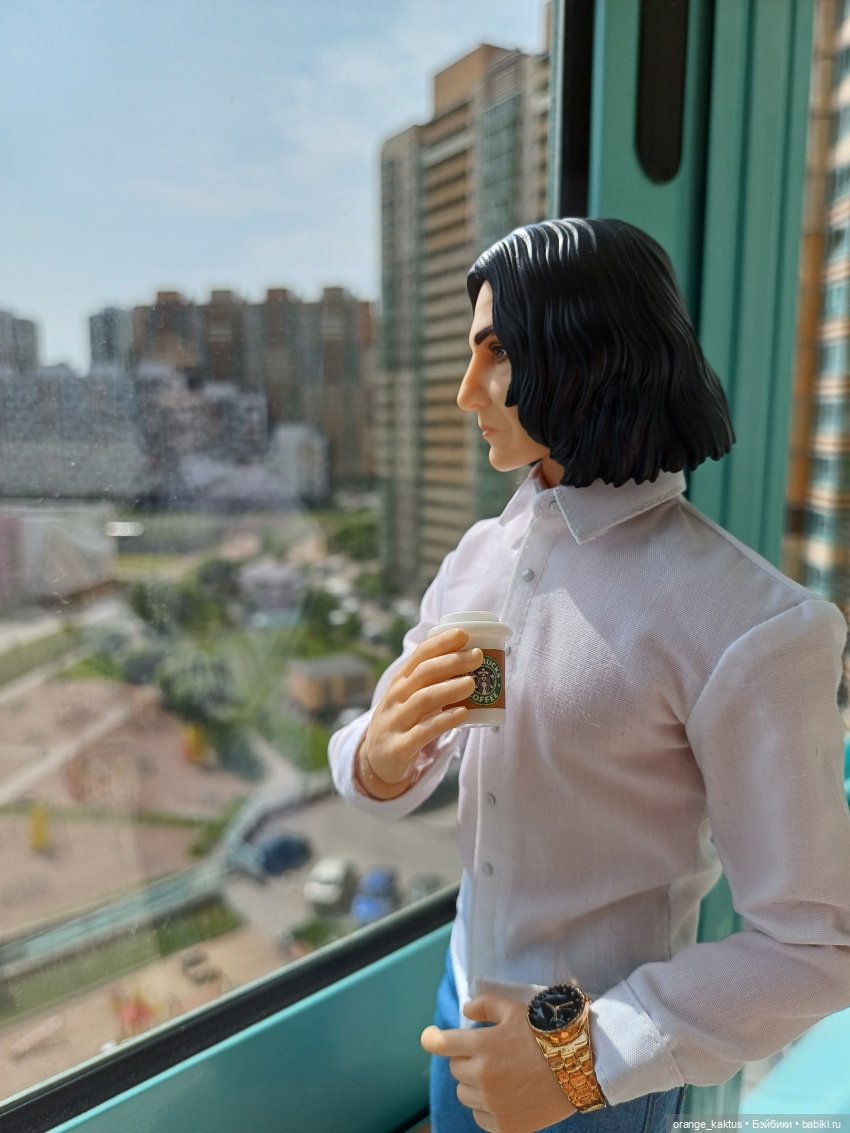 Профессор в командировке — Куклы Harry Potter (Гарри Поттер) Mattel: Wizarding World (фото 9)