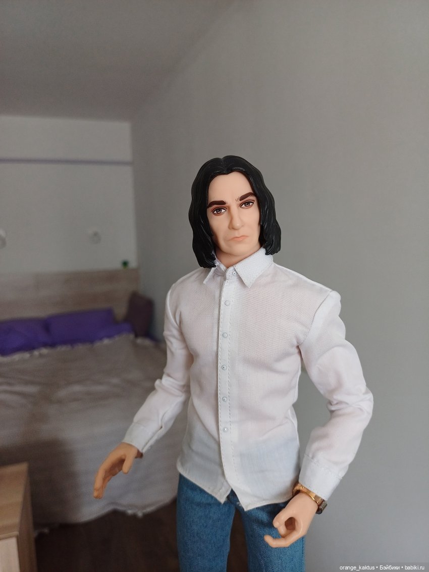 Профессор в командировке — Куклы Harry Potter (Гарри Поттер) Mattel: Wizarding World
