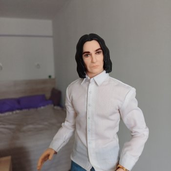 Профессор в командировке