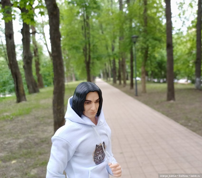 Профессор в командировке — Куклы Harry Potter (Гарри Поттер) Mattel: Wizarding World