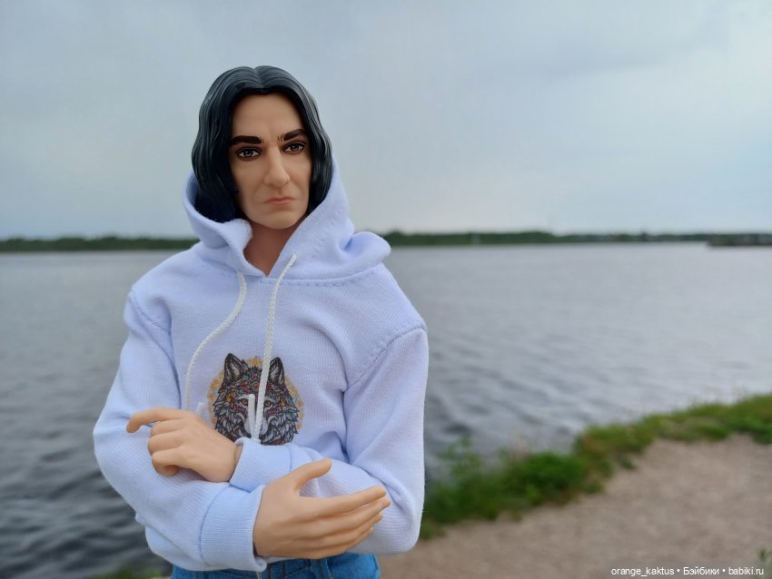 Профессор в командировке — Куклы Harry Potter (Гарри Поттер) Mattel: Wizarding World