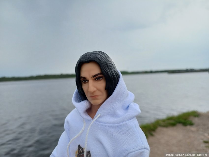 Профессор в командировке — Куклы Harry Potter (Гарри Поттер) Mattel: Wizarding World