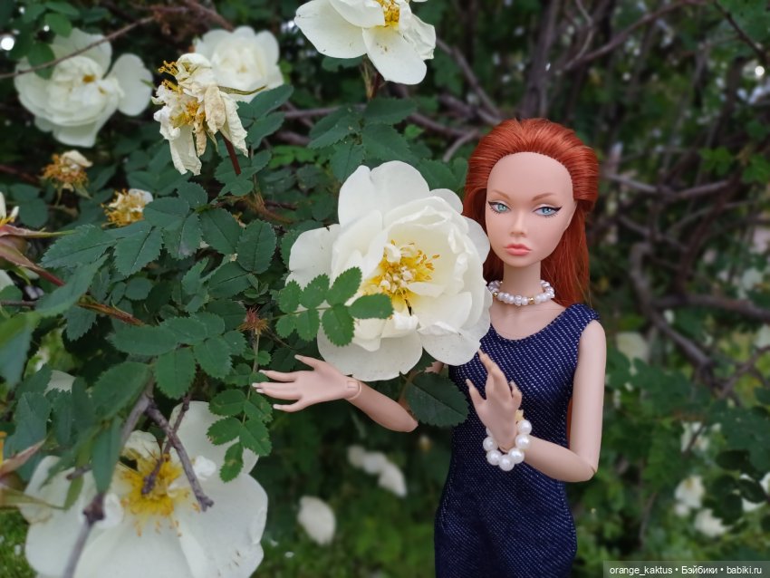 Васильевский остров Или новые тела у старых кукложителей