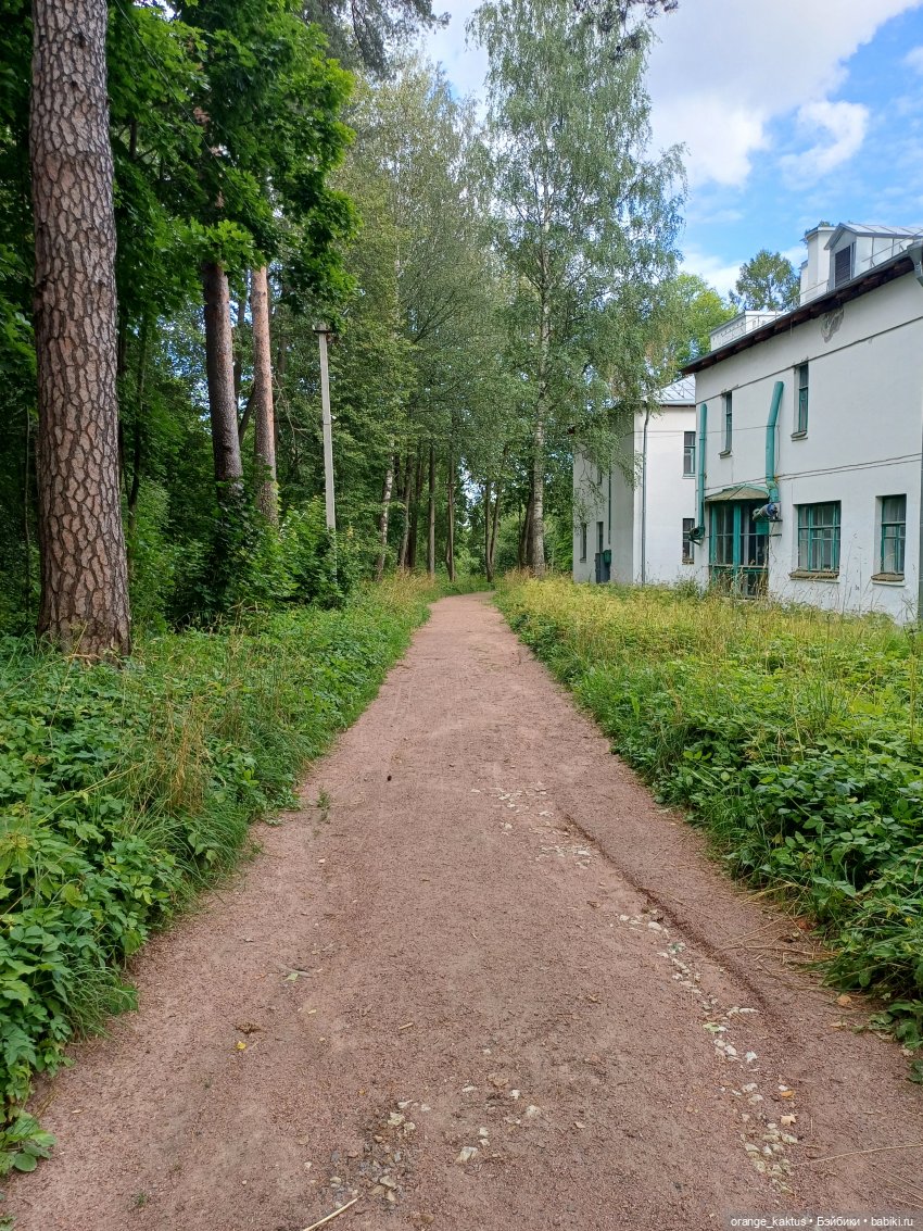 Хитрая лисичка Танечка — Гибриды шарнирных кукол (не БЖД): подбор тела