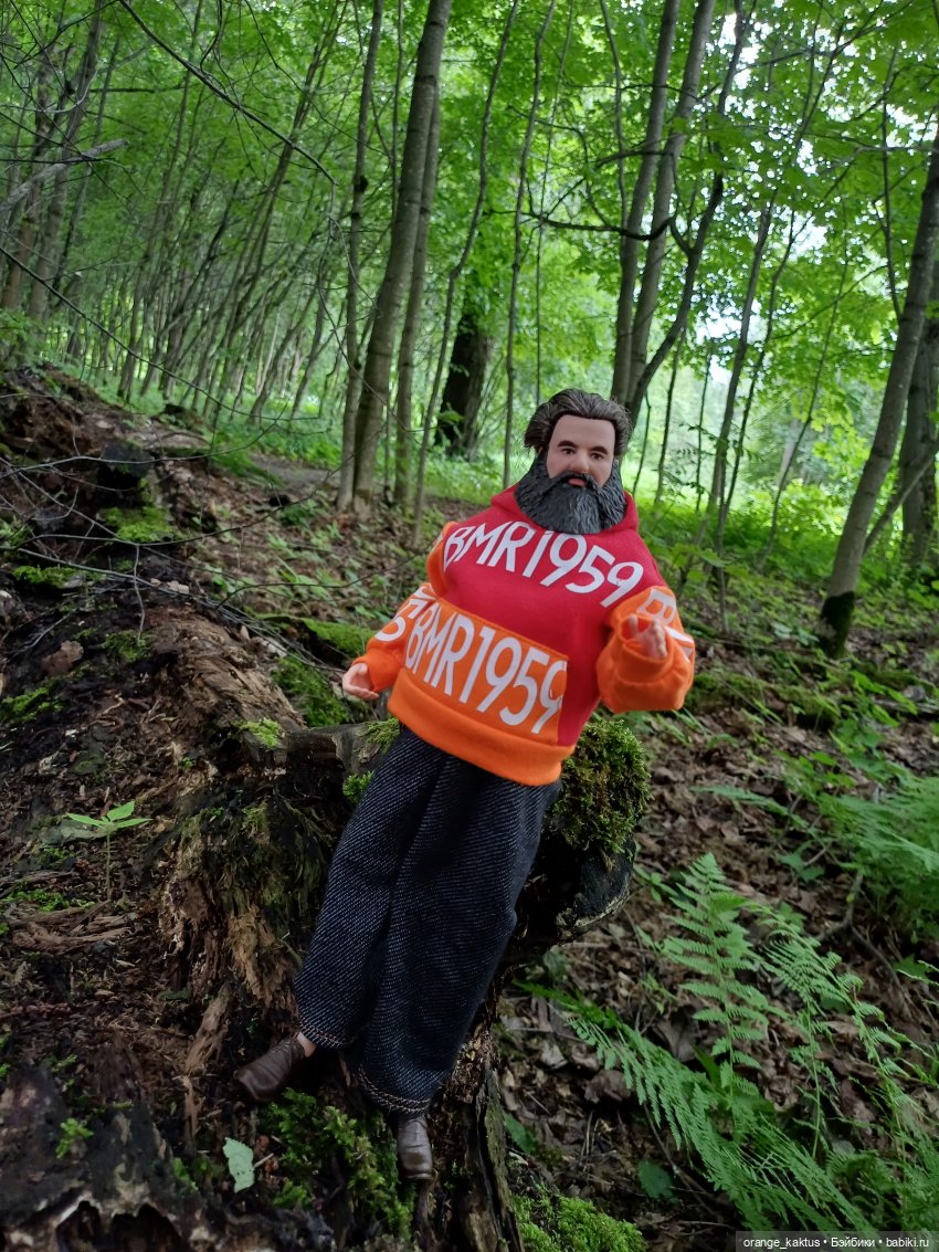 Прогулка по лесу — Куклы Harry Potter (Гарри Поттер) Mattel: Wizarding World (фото 10)