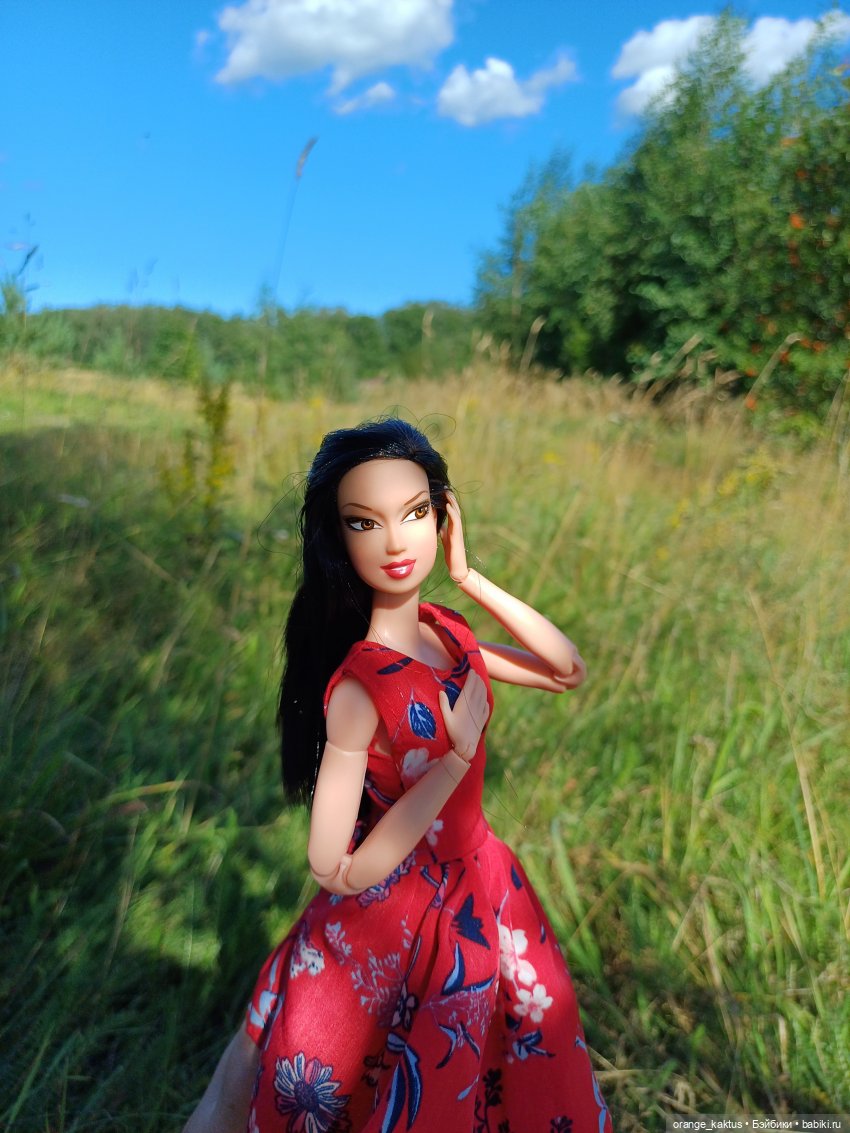 Есения и уходящее лето — Гибриды шарнирных кукол (не БЖД): подбор тела
